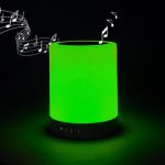 Imagen anterior del producto